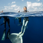 Profilbild för Chih-Lin Yeh