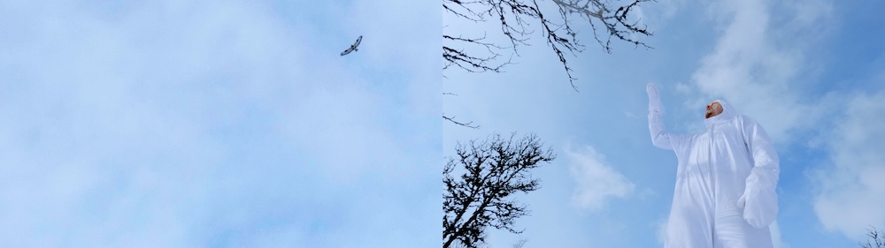 film-still-from-the-film-installation-glide-2025-4