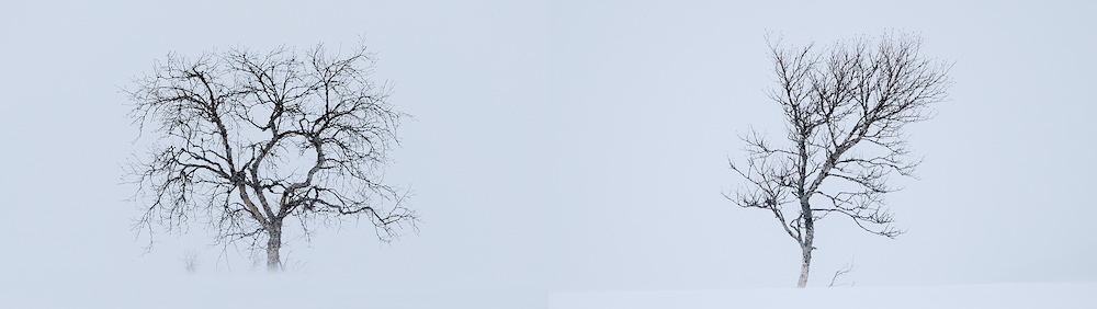 film-still-from-the-film-installation-glide-2025