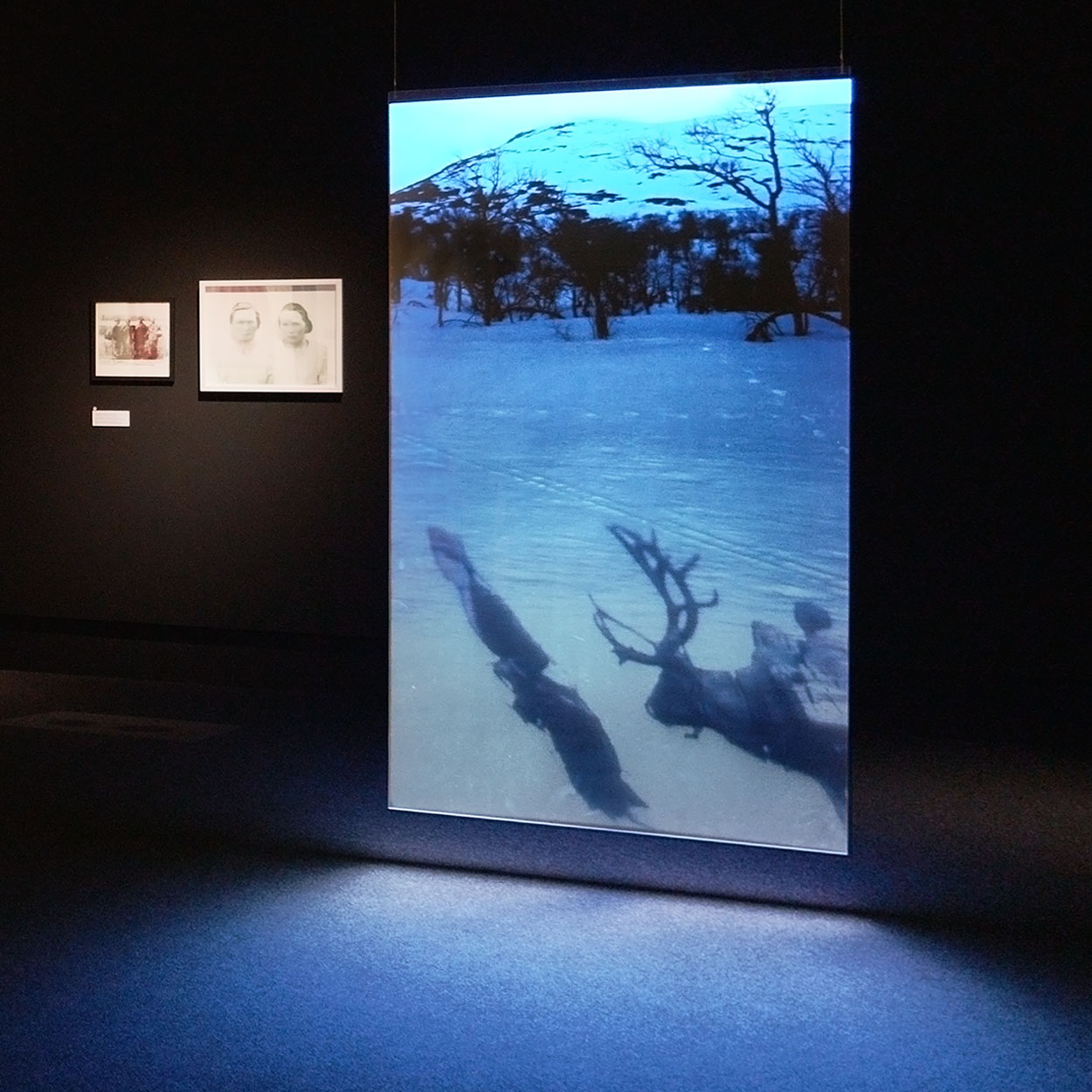 documentation-of-the-film-installation-saiva-by-nils-agdler-and-tomas-colbengtson