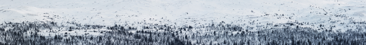 treeline-2026