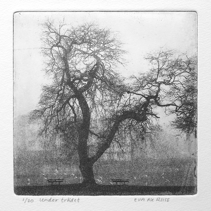 ax-riise_under-tradet