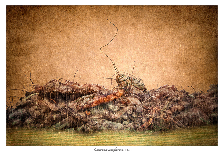 excursion_2