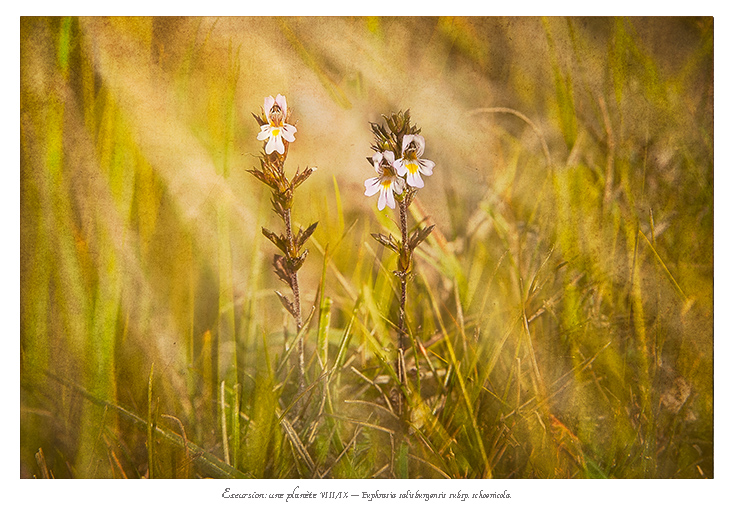 excursion_9