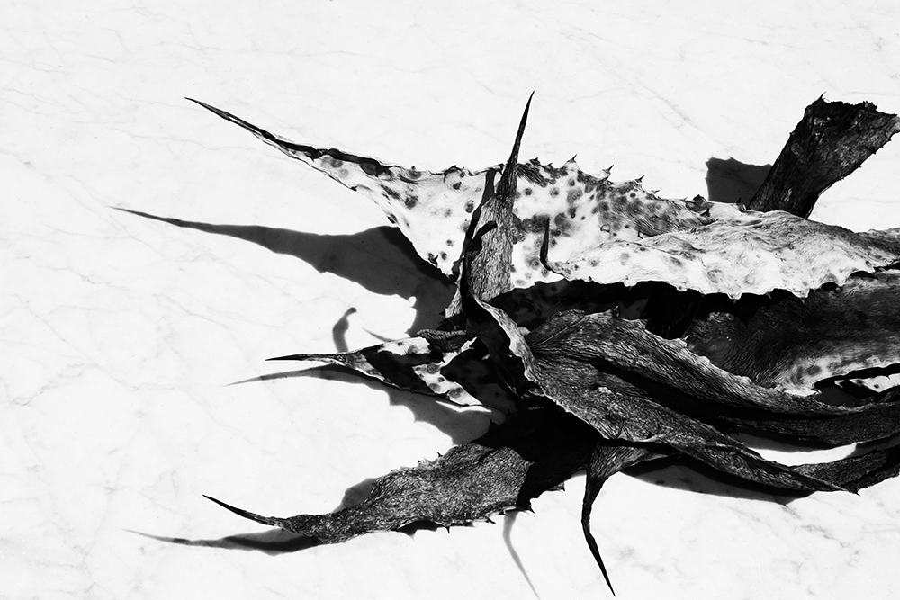 distorsion