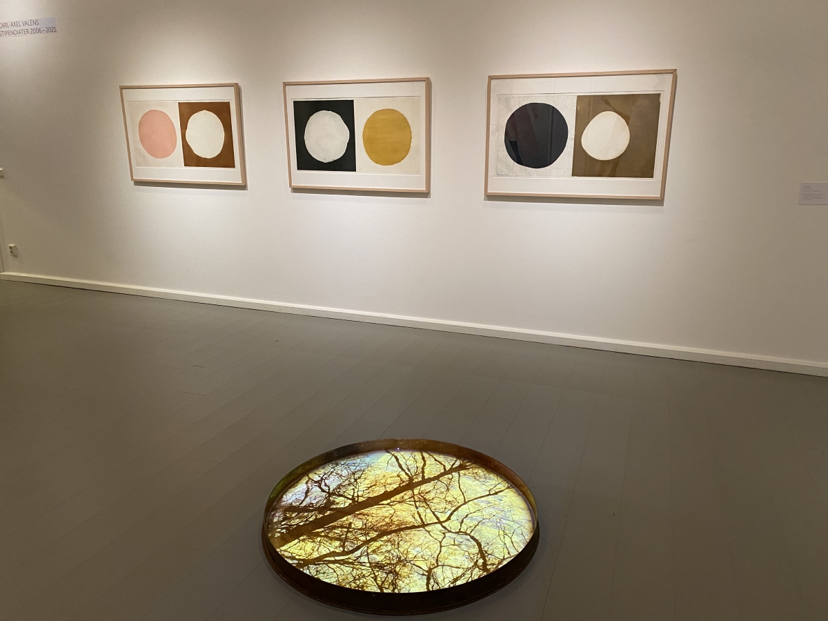 vattnet-och-dro%cc%88mmarna