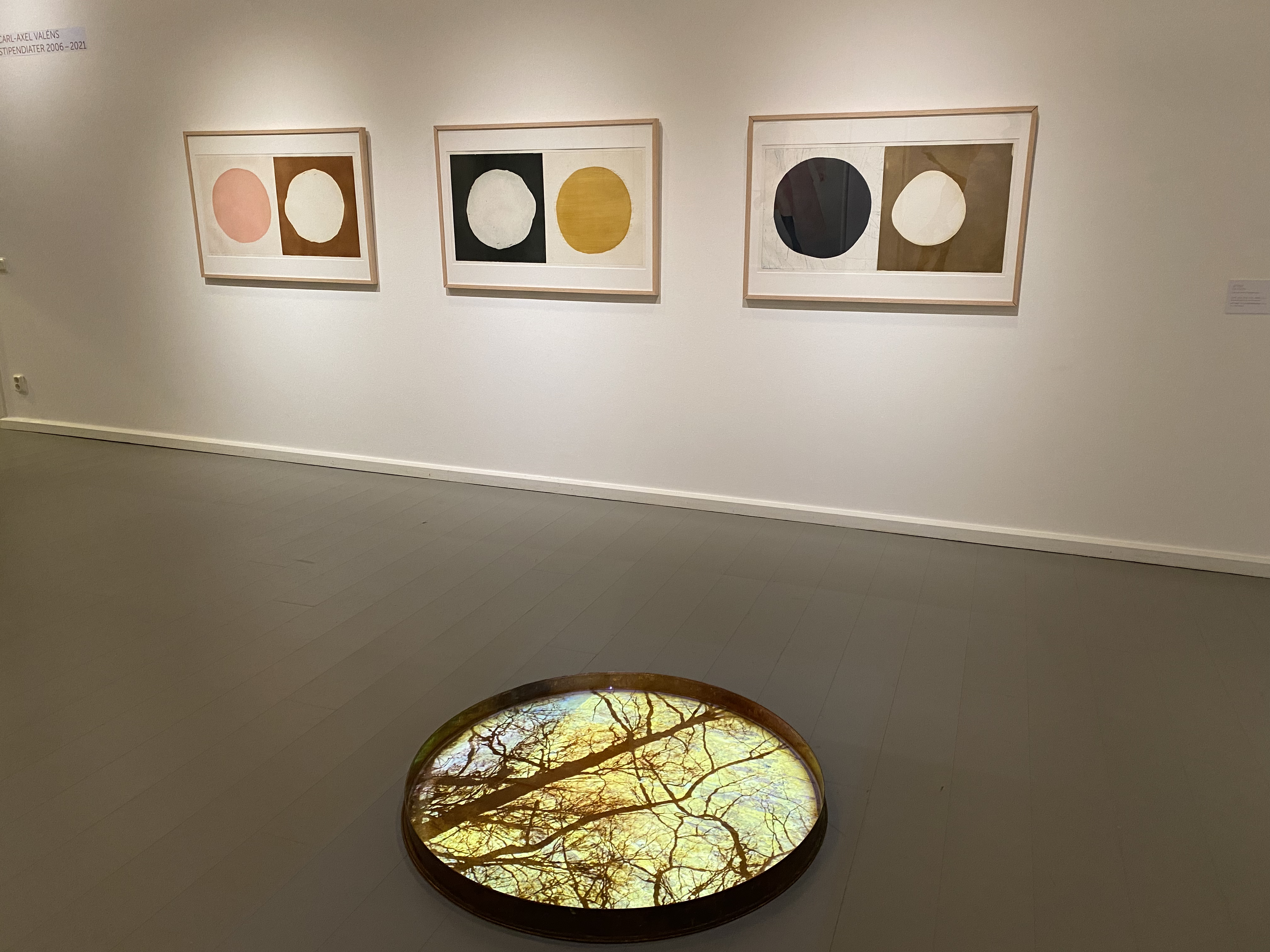 vattnet-och-dro%cc%88mmarna