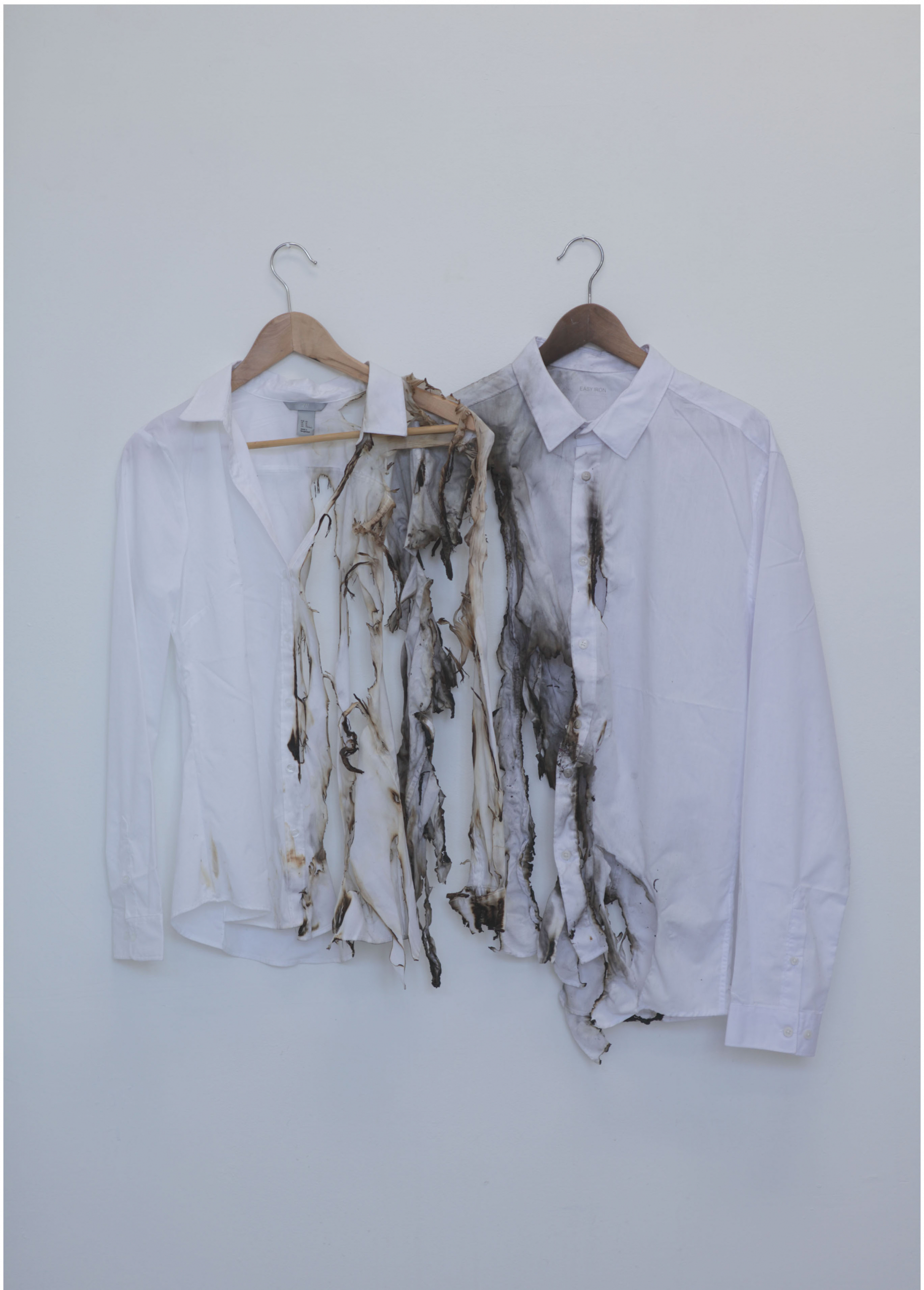the-shirts-relational-reaction