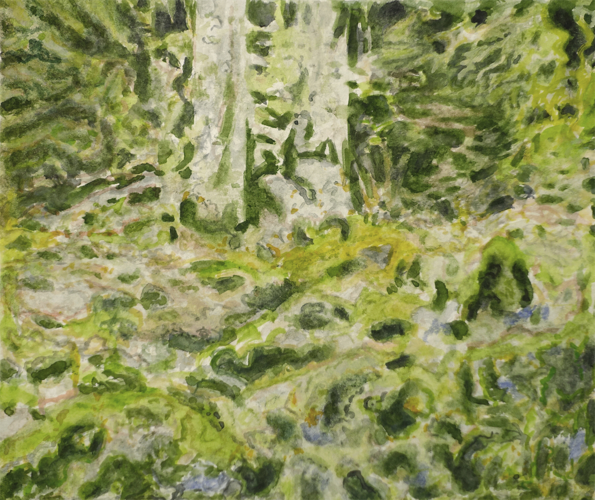 landscape-4