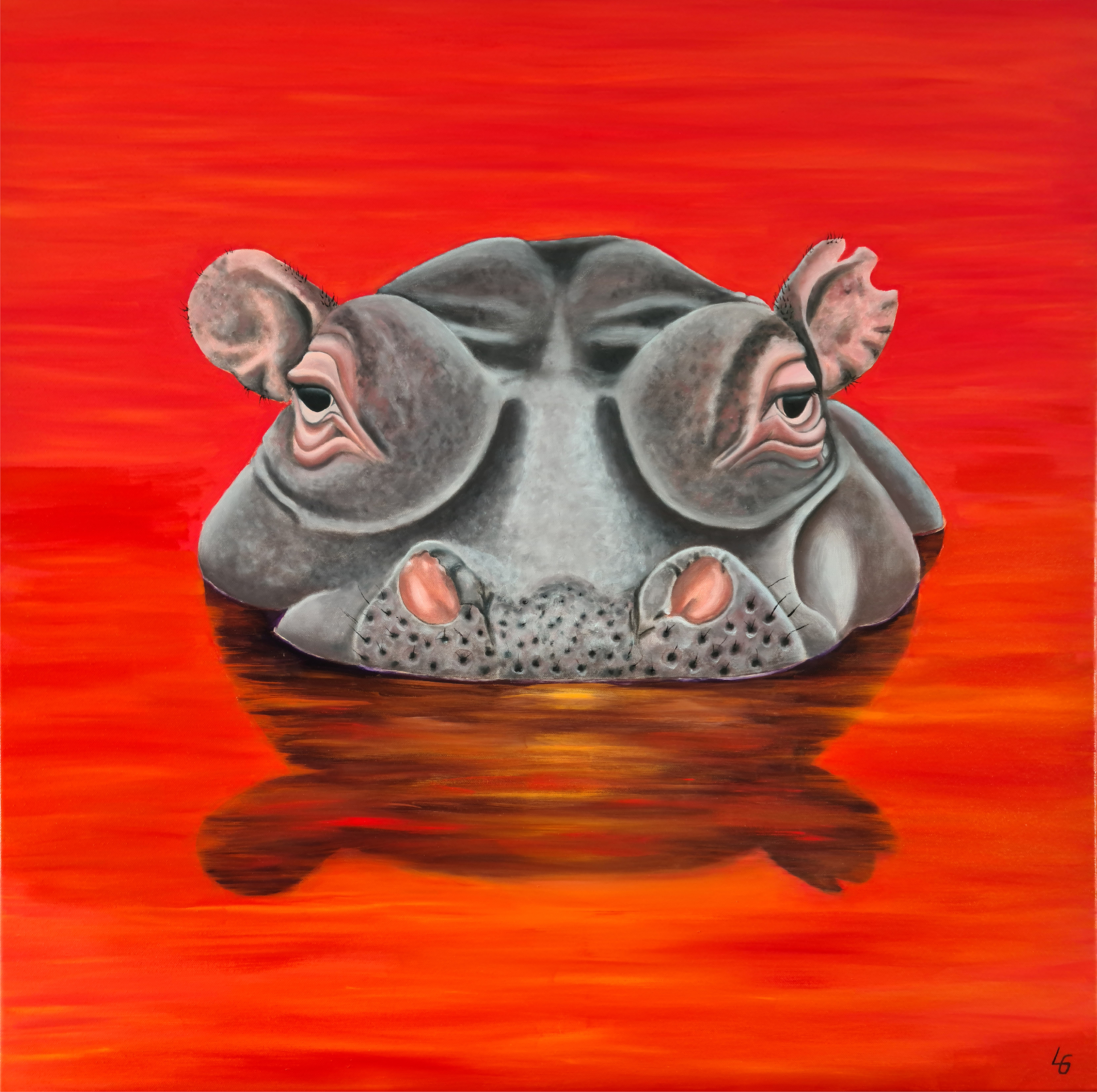 20231014_hippo_liten