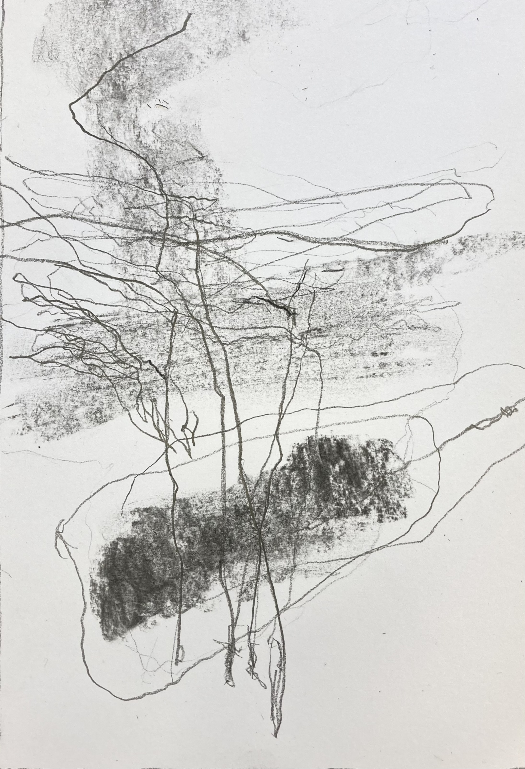 natur-7