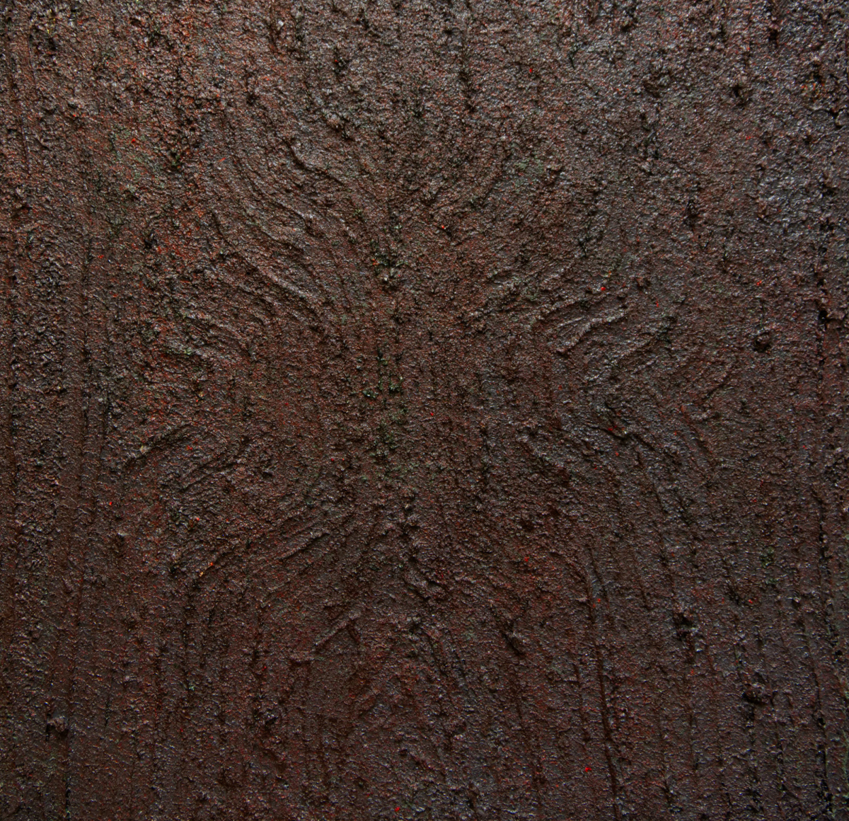 mimicry