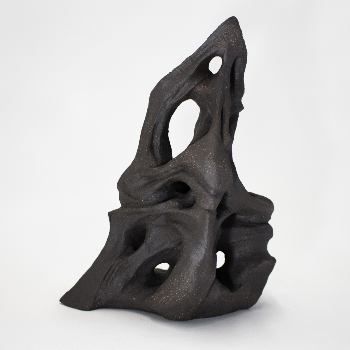 bared-structures-flow-of-a-mountain-no-1