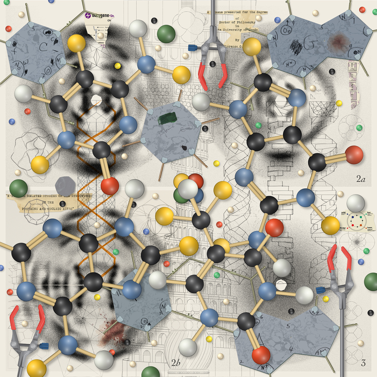 51-field-of-study-coil