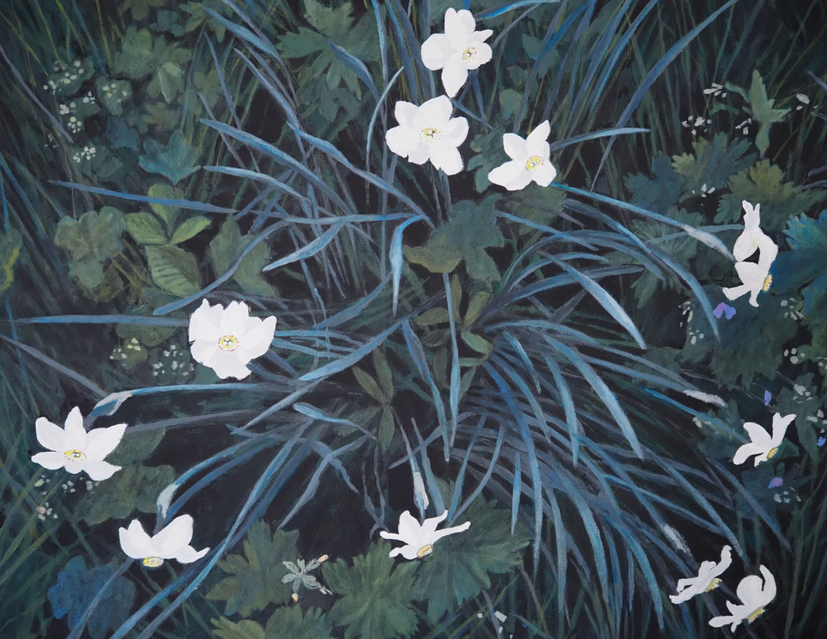 narcisser-i-natten
