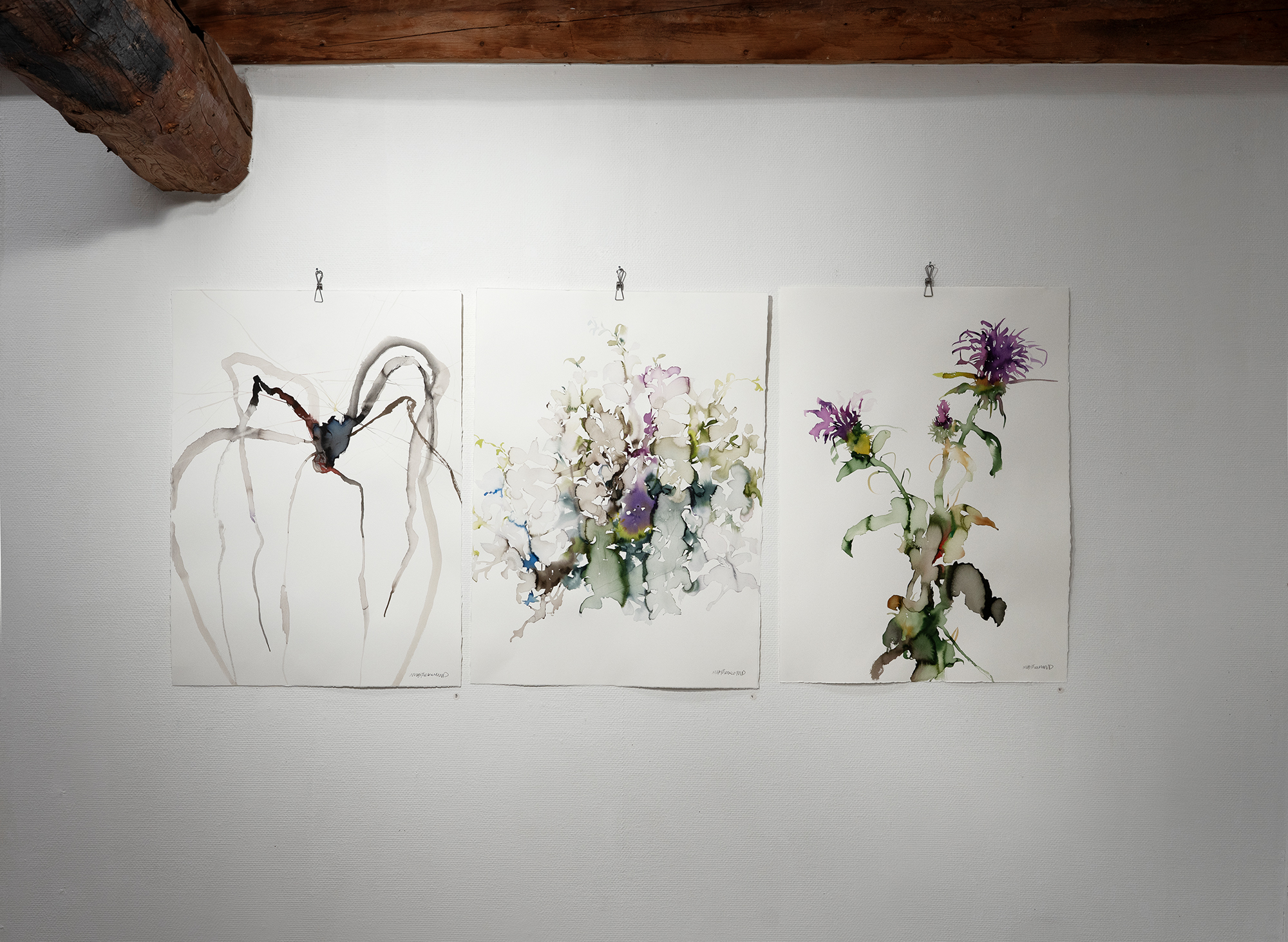 beskyddare-salvia-och-vagtistel-farsta-galleri