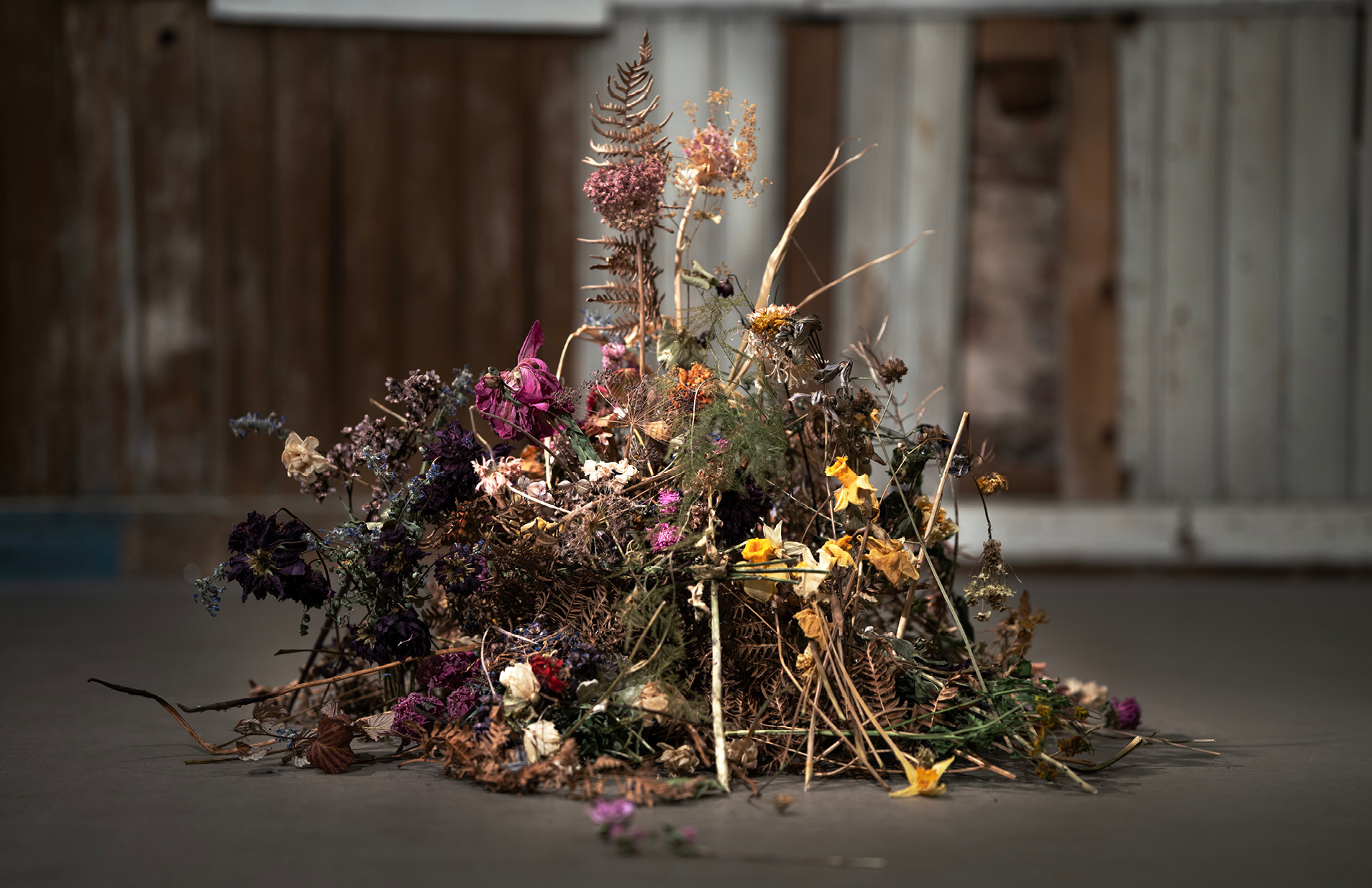 evighetsblommor