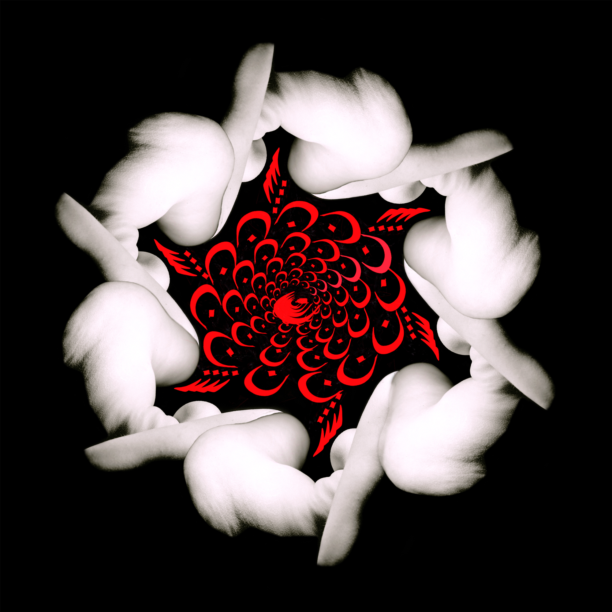 spin-me-round