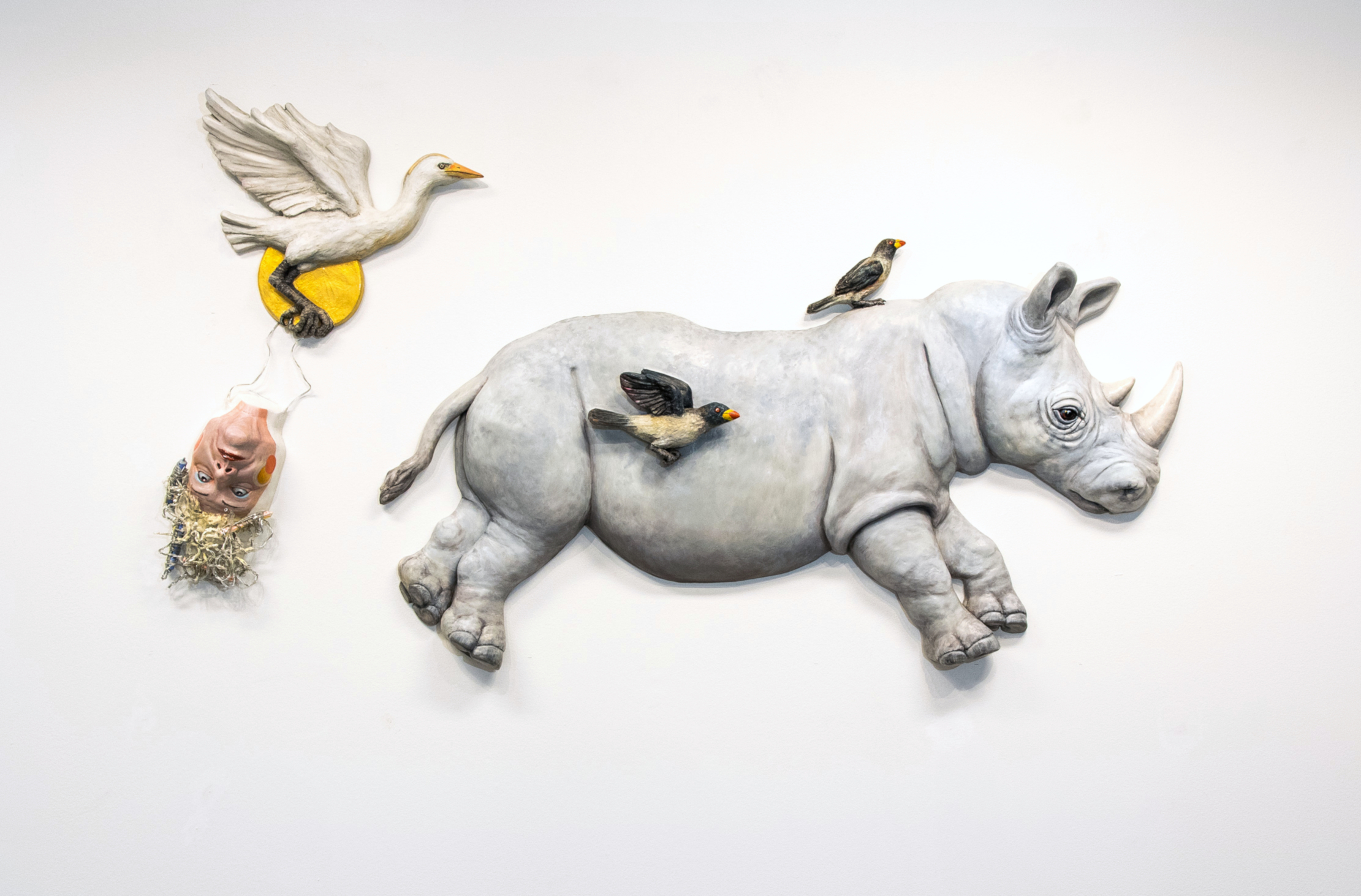 noshorning-med-vanner-psst-upp-och-ner-ada