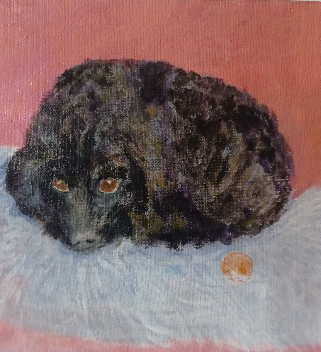 kar-hund