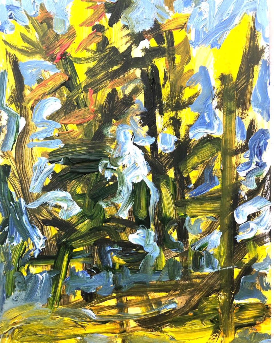 pa%cc%8a-promenad-i-skogen