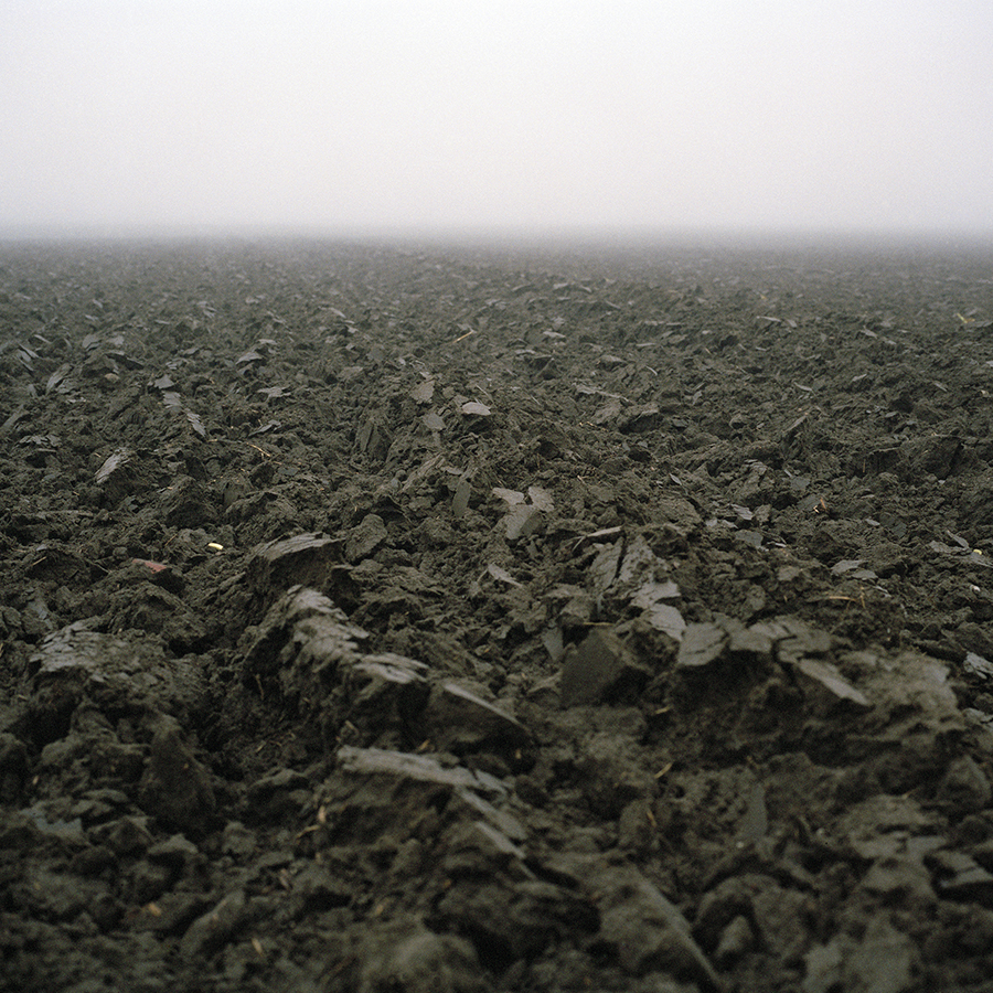 diffusion-i